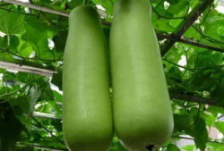 海宁吃瓜爆料公司电话