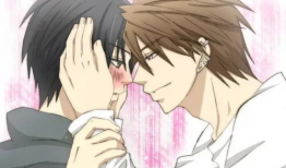 超级恋爱动漫第一季,甜蜜邂逅，青春心动之旅