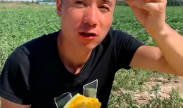 真千金吃瓜爆料,一场吃瓜爆料的豪门恩怨